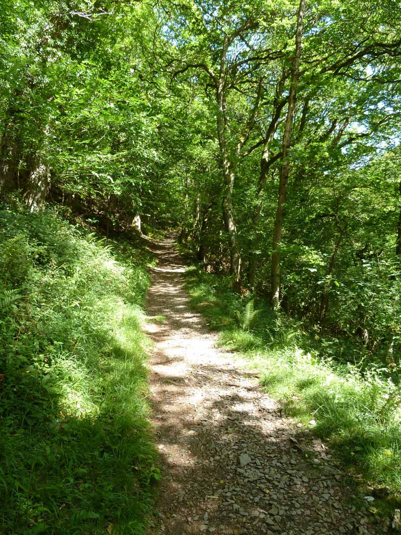 Lynmouth Walk